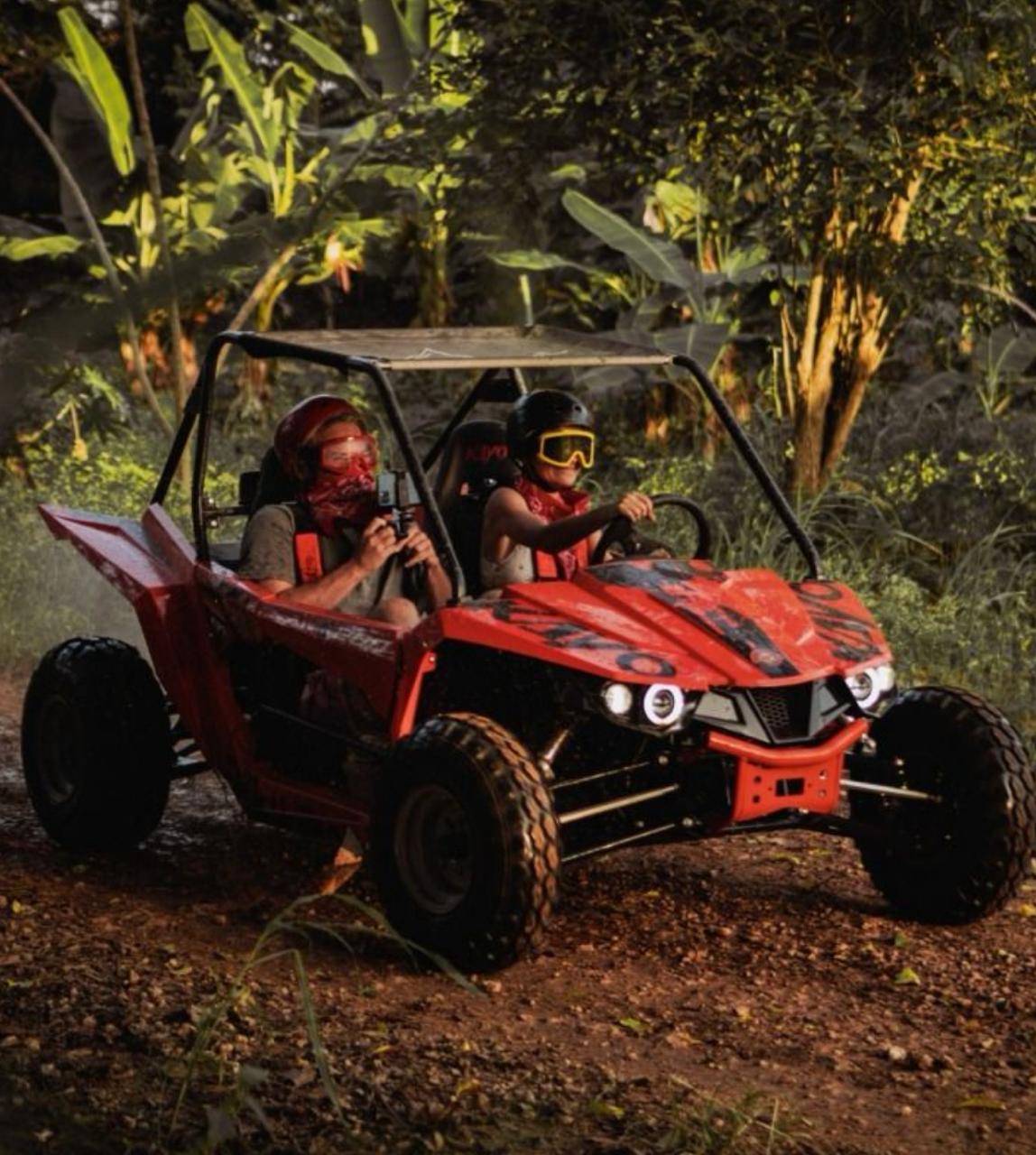 Helicopter Island Tour